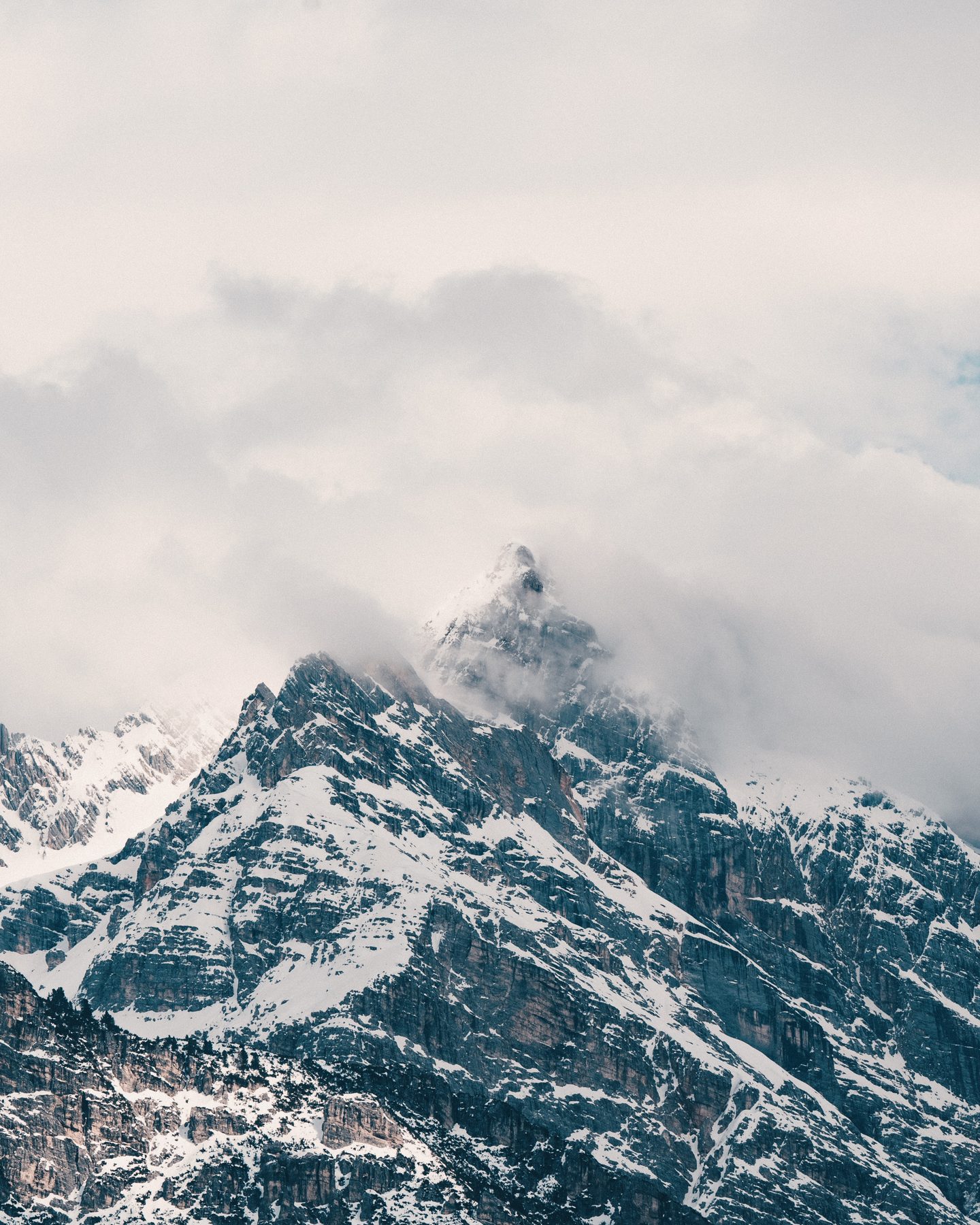 A snow-covered peak breaking through low cloud.